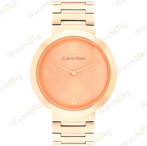 Часы Унисекс Calvin Klein (25200291)