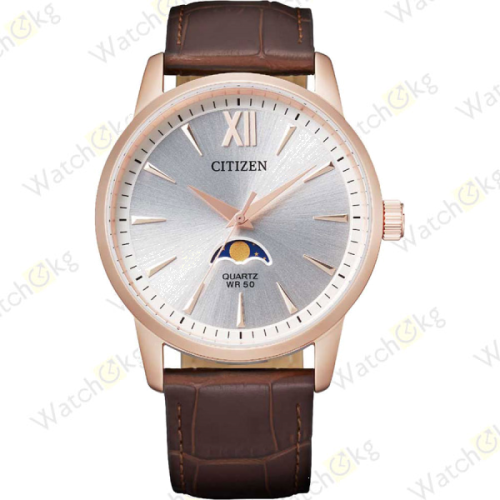 Часы Мужские Citizen Basic (AK5003-05A)