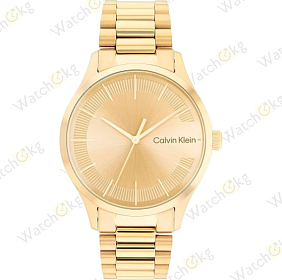 Часы Унисекс Calvin Klein (25200038)