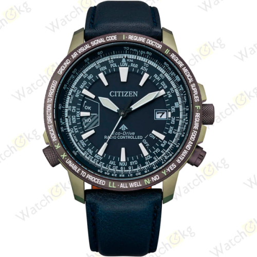 Часы Мужские Citizen Promaster (CB0204-14L)