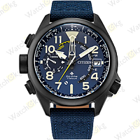 Часы Мужские Citizen Promaster (BN4065-07L)