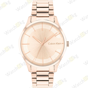 Часы Унисекс Calvin Klein (25200042)