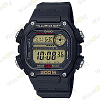 Часы Мужские Casio (DW-291H-9AV)