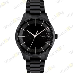 Часы Унисекс Calvin Klein (25200040)