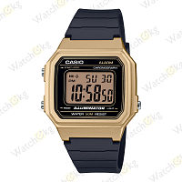 Часы Мужские Casio (W-217HM-9AV)