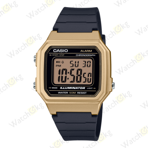 Часы Мужские Casio (W-217HM-9AV)