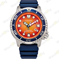 Часы Мужские Citizen Eco-Drive (BN0169-03X)