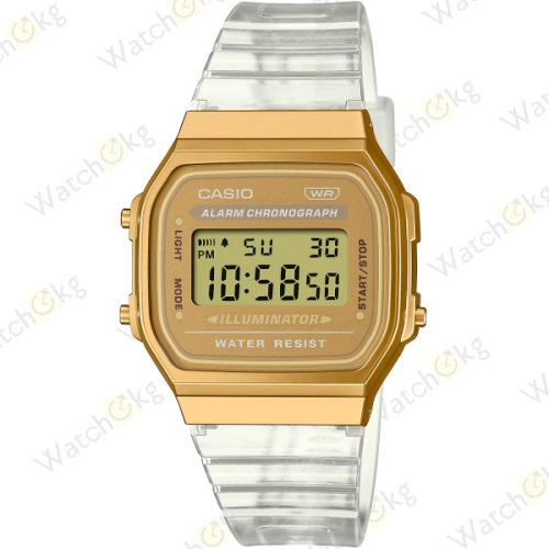 Часы Унисекс Casio Vintage (A168XESG-9A)