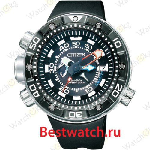 Часы Мужские Citizen Promaster (BN2024-05E)