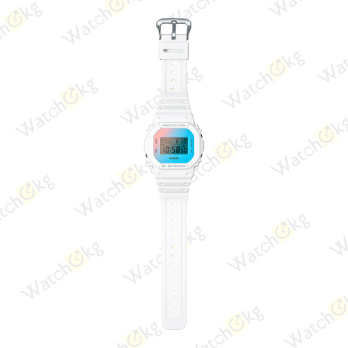 Часы Мужские Casio DIGITAL 5600 SERIES (DW-5600TL-7) фото 2