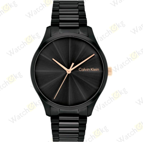 Часы Унисекс Calvin Klein (25200233)