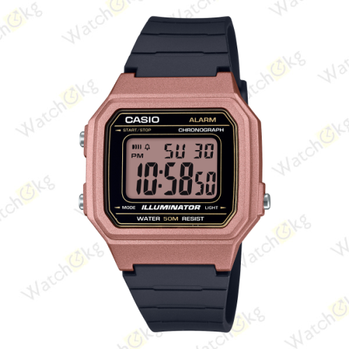 Часы Мужские Casio (W-217HM-5AV)