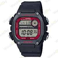 Часы Мужские Casio (DW-291H-1BV)