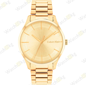 Часы Унисекс Calvin Klein (25200043)