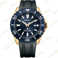 Часы Мужские Citizen Promaster (BN0196-01L)