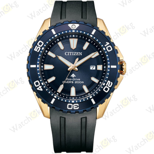 Часы Мужские Citizen Promaster (BN0196-01L)